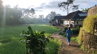 CARA MENANAM SAYURAN DI LAHAN SEMPIT PANEN BERBAGAI MACAM SAYURAN DI PEKARANGAN RUMAH [upl. by Lirva]