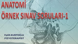 Anatomi Öğreten Örnek Sınav Soruları1  ÖnlisansLisans [upl. by Arik]