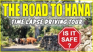 Road to Hana Time Lapse Driving Tour Guide to Maui’s Most Scenic Route  4k Hawaii Mile by Mile [upl. by Esiouqrut]