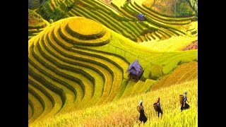 Du lịch sapa vẻ đẹp thiên nhiên  Vietnam Discovery [upl. by Betty701]