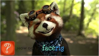 Facerig Tutorial [upl. by Lucchesi]