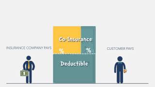 Insurance Costs Through the Year [upl. by Ahsiya997]