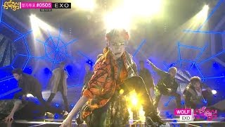 【TVPP】EXO  Wolf 엑소  늑대와 미녀  Show Music Core Live [upl. by Krucik]