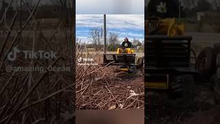 clean up piled up dry plants lawncare foryou satisfying shorts cleaning fypシ゚viral funny [upl. by Weisbart]