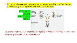 Terminale spé SVT Exo2 Génétique Croisement Corrigé [upl. by Collum]