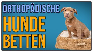 Orthopädische Hundebetten  Sinnvoll oder Geldverschwendung  TGH 342 [upl. by Pittel]