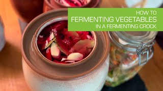 63 Fermenting Vegetables in a Ceramic Fermenting Crock [upl. by Joktan]