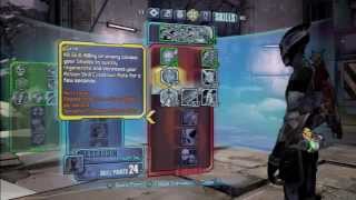 Borderlands 2 Zer0 Lvl 50 skill build [upl. by Erelia]