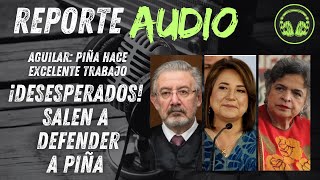 últimahora  ¡DESESPERADOS Salen a DEFENDER a PIÑA  REPORTE AUDIO [upl. by Sivrup]