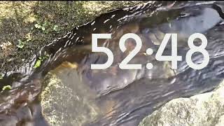 Countdown Timer 1h Stunde ohne Musik 3D HD Bewegung Fluss Wasser real Natur Life Stein [upl. by Olson]