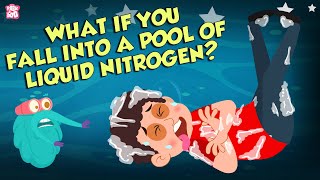 What If You Fall Into A Pool Of Liquid Nitrogen  Hypothermia  Dr Binocs Show  Peekaboo Kidz [upl. by Elleryt452]