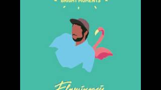 15 Flamingosis  Passing By feat Birocratic [upl. by Littman]