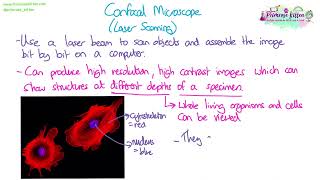 Confocal microscopes  Revision for Biology ALevel [upl. by Tobias]