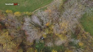 Auto am Gmundnerberg in Altmünster in steiles Gelände abgestürzt [upl. by Ylrak587]