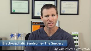 Brachycephalic Syndrome The Surgery [upl. by Fabian404]