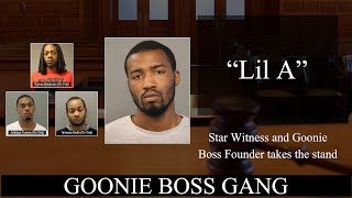 Star witness in Goonie Boss Gang trial takes the stand [upl. by Raskin]