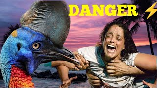 DANGER ⚡ Man Attacked By A CASSOWARY Today The Most Dangerous Bird In The World [upl. by Anibur]