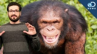 Researchers Created Mind Controlling Monkeys [upl. by Annod]