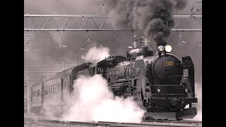 ZANETTI train  ट्रेन जो अदृश्य हो गई अभी भी एक अनसुलझा रहस्य है amazingfacts viralvideo [upl. by Relyuc]