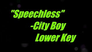 Speechless by City Boy Lower Key Karaoke [upl. by Novyad]