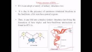 RNA structure  tertiary structure [upl. by Parlin]