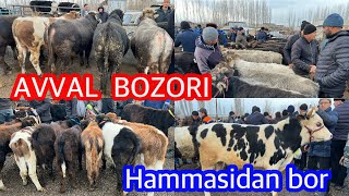 AVVAL BOZORI NARHLARI HAMMASIDAN BOR 13012024 [upl. by Nykal]