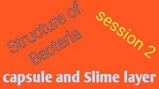 Morphology of bacteria  Session 2  Capsule and Slime layer [upl. by Pip816]