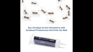 Say Goodbye to Ant Infestations with Imidasect Professional Ant Killer Gel Bait [upl. by Ocirne162]