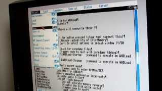 Amiga  Fixing WHDLoad Errors [upl. by Tilla]