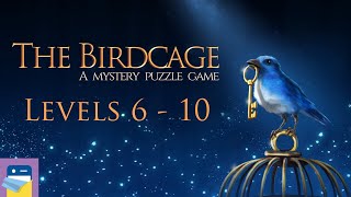 The Birdcage Levels 6 7 8 9 10 Goldfinch Walkthrough  All Gems amp Letters by Kaarel Kirsipuu [upl. by Astera714]