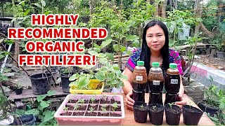 PAANO GUMAWA NG 3 TYPES NG FERMENTED ORGANIC FERTILIZER  PAMPABULAKLAK AT PAMPABUNGA NG MGA HALAMAN [upl. by Cl]