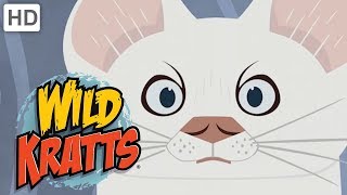 Wild Kratts  Best Season 2 Moments Part 55  Kids Videos [upl. by Peterus980]