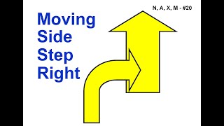 ANKC 2021 Rally Sign 20 Moving Sidestep Right Novice [upl. by Albemarle]