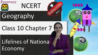 Lifelines of National Economy  One Shot Revision Series  State Boards Class 10 Geography [upl. by Arahsat]