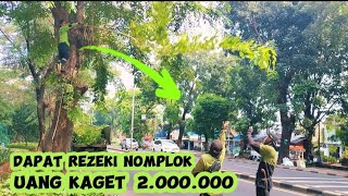 uang kaget rezeki nomplok tebang pohon Angsana dijalan lalu membersihkan pekarangan rumah mewah [upl. by Isdnil]