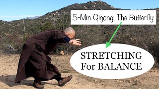 STRETCHING For BALANCE  5Minute Qigong The Butterfly [upl. by Atnohs]