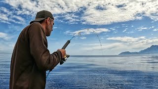 İlk Atış Tek Yem Tek Balık Kara Tava Yandı [upl. by Burner]