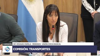 COMISIÓN COMPLETA TRANSPORTES  10 de septiembre de 2024  Diputados Argentina [upl. by Yenitirb381]