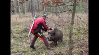 Jagd auf Wildschweine und Wildschwein Kessel Gulasch [upl. by Worrell175]