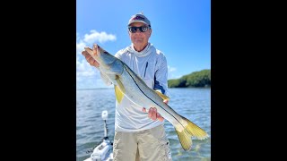 How to Catch Snook Outer Islands of Crystal RiverOzello [upl. by Tletski617]