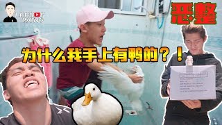 【恶整Prank】骗Benny闭着眼睛手拿“业配产品”，其实是一只活鸭！最后那只鸭。。。 [upl. by Stormy251]