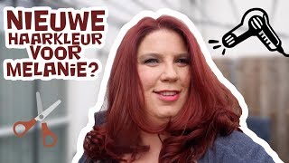 MELANIE WIL HAAR HAREN ROOD   KOETLIFE VLOG 680 [upl. by Rehpotsihc]