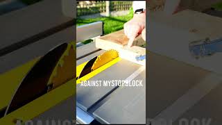 I REGRET not knowing this sooner woodworking tablesaw [upl. by Jegar]