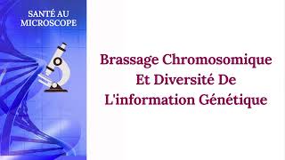 Brassage Chromosomique Et Diversité De Linformation Génétique [upl. by Ahsitruc]