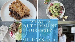 What is Autoimmune Disease  What I ate AIP Days 12 15 [upl. by Etnahsa]