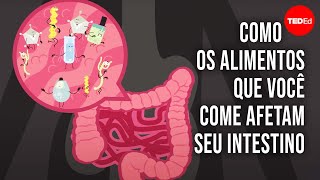 Como os alimentos que você come afetam seu intestino  Shilpa Ravella [upl. by Iruyas517]