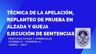 Técnica de la apelación Ejecución de sentencias [upl. by Crutcher]