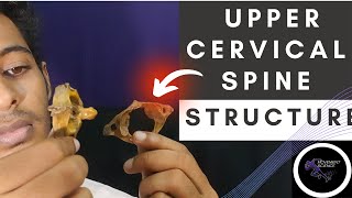 UPPER CERVICAL SPINE STRUCTURE AND LIGAMENTS BIOMECHANICS OF SPINEPhysiotherapy Tutorial [upl. by Notgnilliw557]