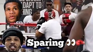 LEAKED GERVONTA Davis SPARRING DEVIN HANEY LEAKED 👀🥊 [upl. by Eleon803]