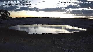 Okaukuejo Resort Wildlife Waterhole Live camera stream in the Etosha National Park in Namibia [upl. by Yevreh]